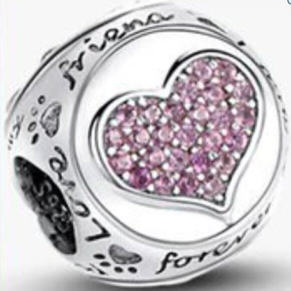 Triangular Dog Bone Paw Heart Charm - Picture 3 of 4